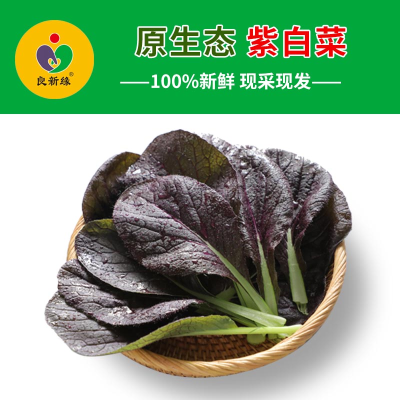 紫白菜적배추良新自有农场无农药无催熟控水控温 200g